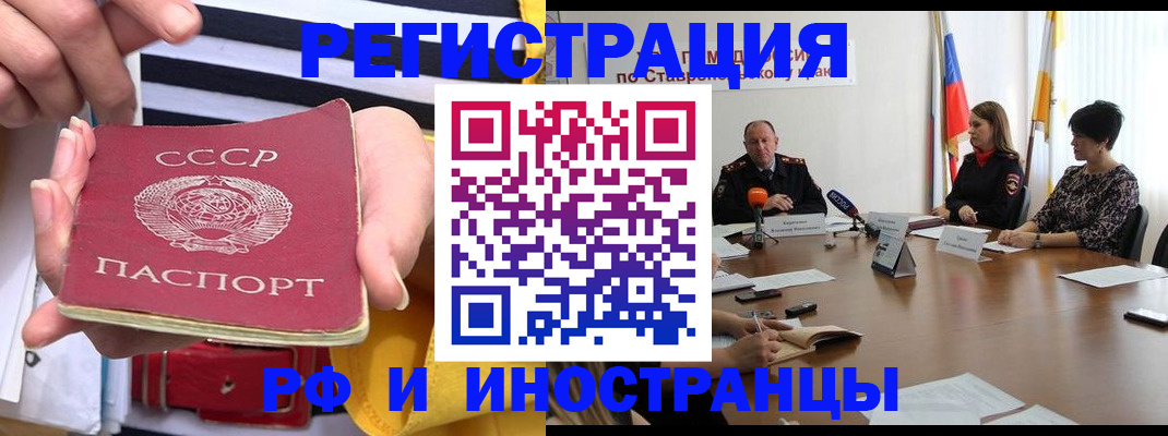 временная регистрация поиск в Камчатской области